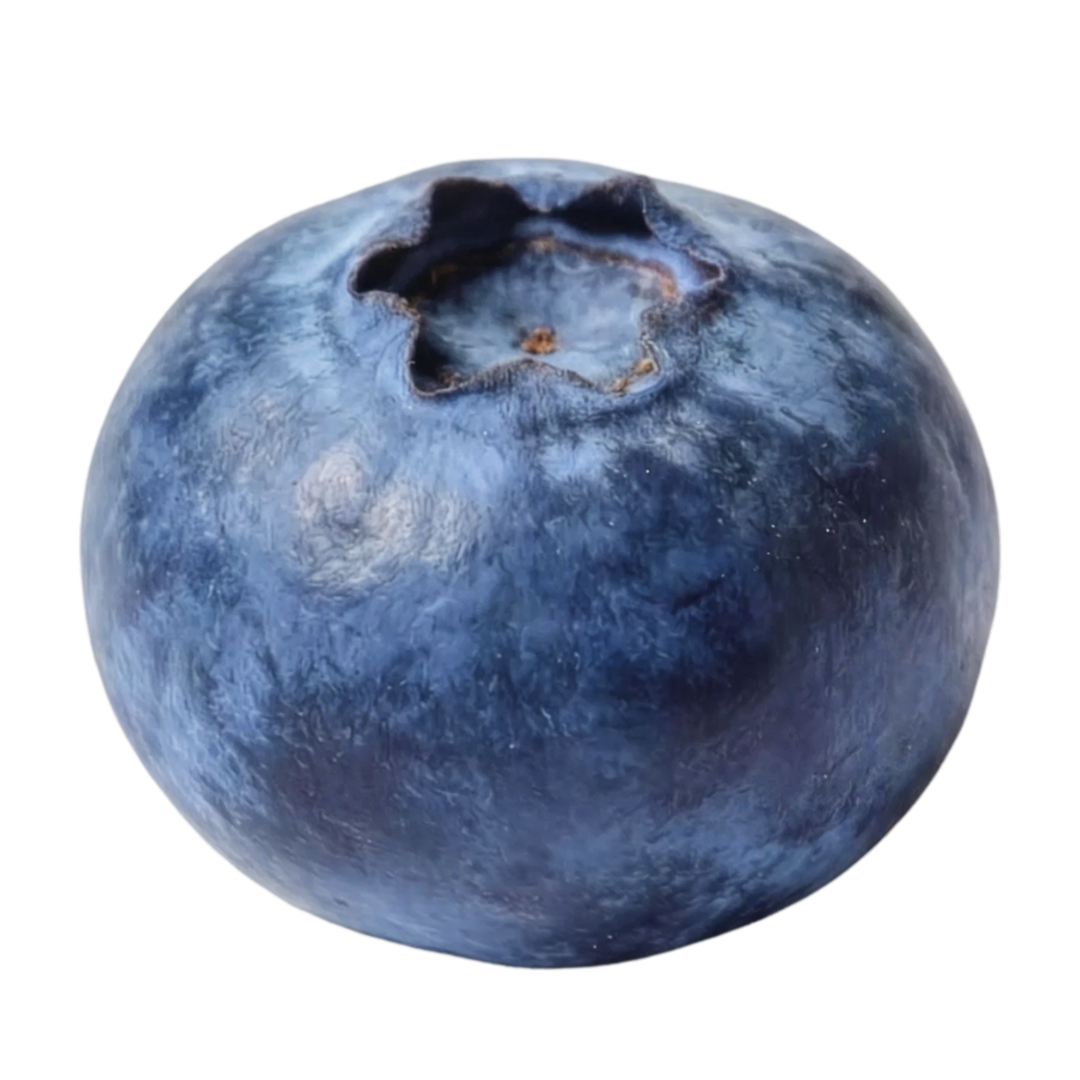 Blueberry transparent PNG sticker