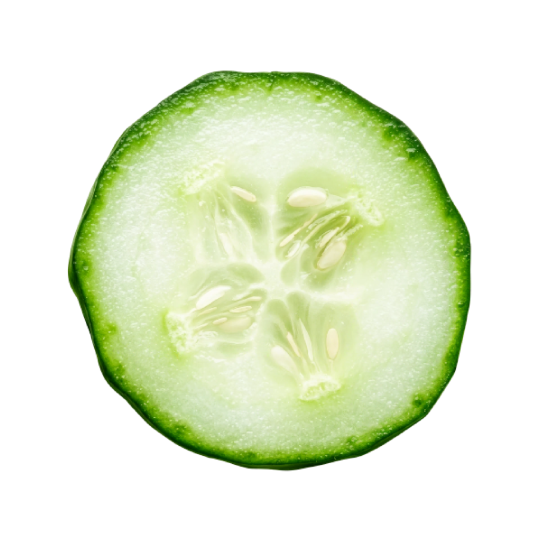Cucumber Slice transparent PNG sticker